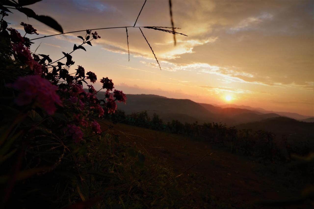 Peakaavu Cottages อีดุกกี ภายนอก รูปภาพ
